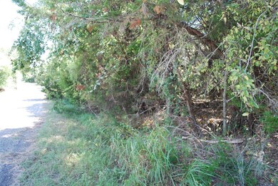 7085 Cedar Valley Dr, Whitney, TX 76692 - photo 6