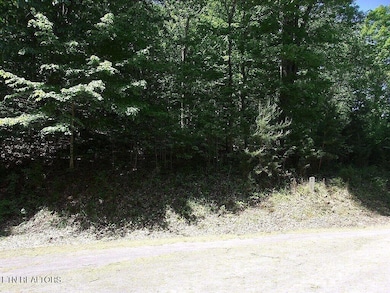Picture1