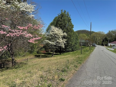 12 Hoyle St unit 12, Marion, NC 28752 - photo 7