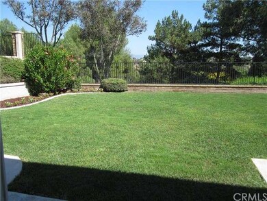 Extra Large Backyard
