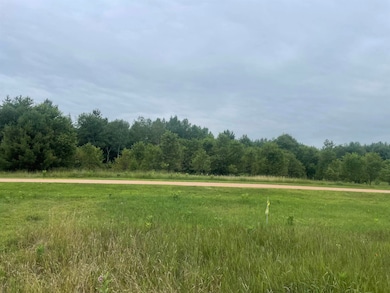 0 Behnke Rd, Texas, WI 54403 - photo 4