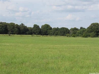 31.5 acres Ponderosa Dr, Jonesboro, AR 72401 - photo 7