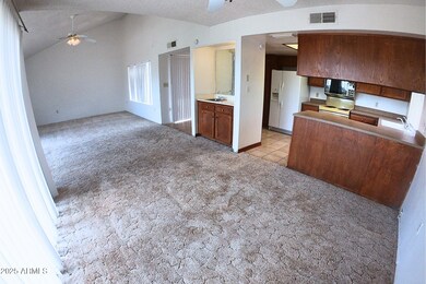 828 E Junction St unit 832, Apache Junction, AZ 85119 - photo 4