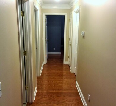 image5 (1)