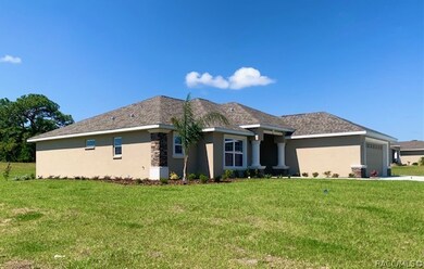 222 E Tara Ct, Hernando, FL 34442 - photo 4