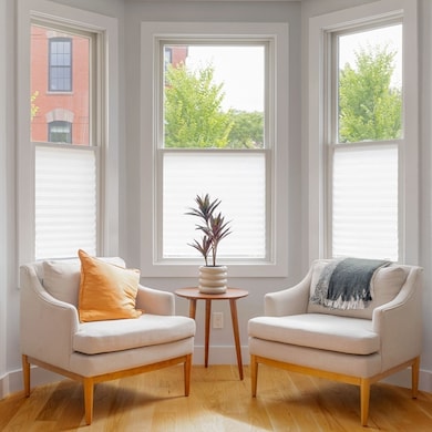 347 Broadway unit 2, Cambridge, MA 02139 - photo 5