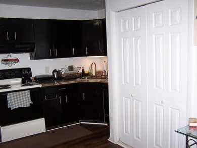 4 Park Avenue Place unit 2, Worcester, MA 01603 - photo 3