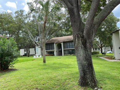 2666 Pine Ridge Way N unit B2, Palm Harbor, FL 34684 - photo 5