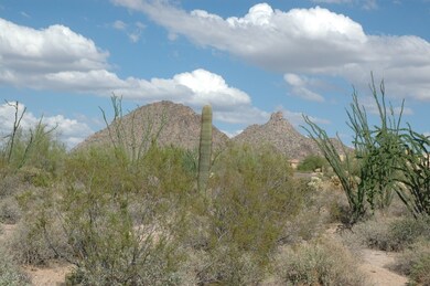 View of Pinnacle Peak