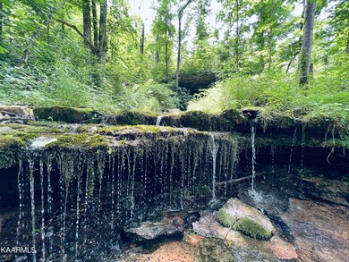 122 Mercy Ln, Cookeville, TN 38506 - photo 5