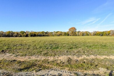 111 Buckhorn Creek Dr, Crockett, TX 75835 - photo 5