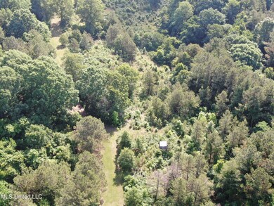 DJI_0557