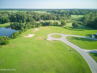 171 Herring, Merry Hill, NC 27957 - photo 5