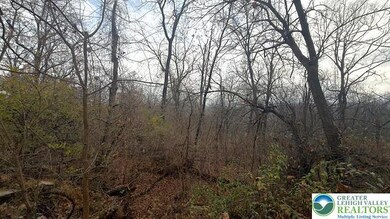 0 W Lafayette St, Easton, PA 18042 - photo 4