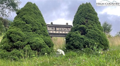 Cabin is located in the Bald Mountain Estates neig