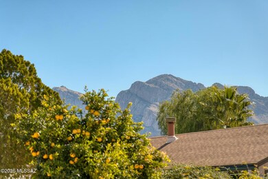 Backyard Mountain View