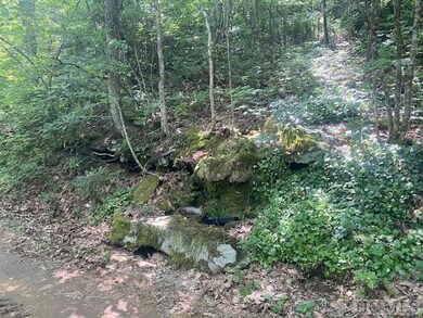 N/A N A, Scaly Mountain, NC 28775 - photo 7