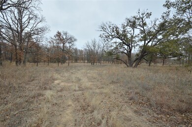 Lot 207 Bishop Dr, Weatherford, TX 76088 - photo 3