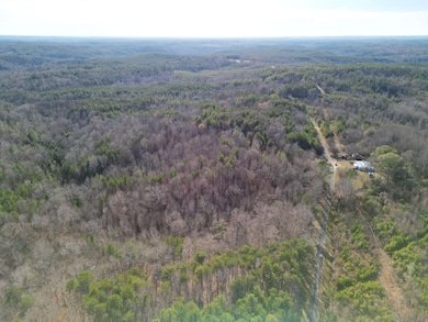 2484 Hoggle Ridge Rd, Haleyville, AL 35565 - photo 2