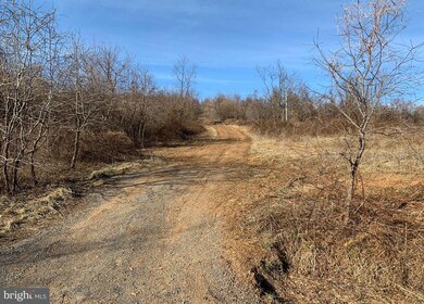 0 Appalachian Ln unit VAWR138236, Linden, VA 22642 - photo 3