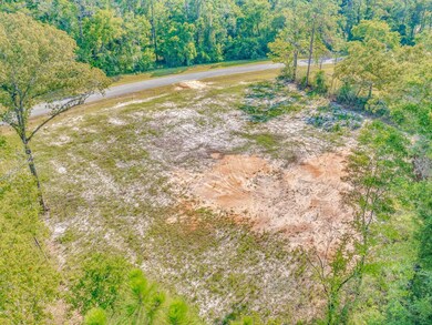 XX Sellars, Crawfordville, FL 32327 - photo 3