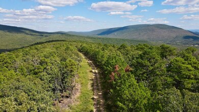 0 Aslin Prairie Rd unit 22990166, Talihina, OK 74571 - photo 3