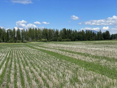 2712 Helena Flats Rd, Kalispell, MT 59901 - photo 3