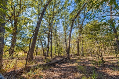 00 County Road 163, Elkhart, TX 75839 - photo 3