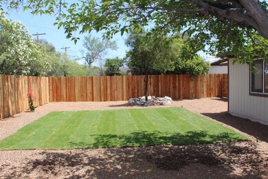 Backyard 1