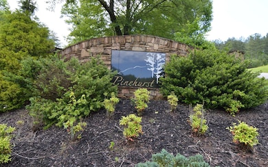 LOT 50 Pinehurst Rd, Blairsville, GA 30512 - photo 2