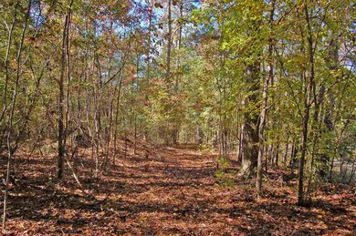 1230 Waterstone Dr, Madison, GA 30650 - photo 6