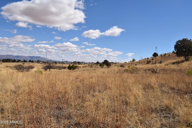 Lot 009P S One More Road -- unit 9P, Hereford, AZ 85615 - photo 2