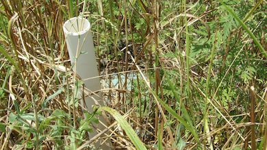 17 D Crappie Ln, Hilham, TN 38568 - photo 2