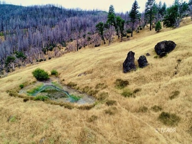 1881 Marshall Rock, Ruth, CA 95526 - photo 5