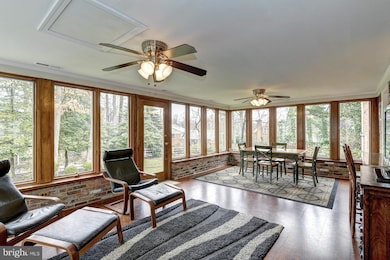 2425 Lexington Rd, Falls Church, VA 22043 - photo 6