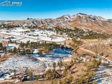 13469 Old Timer Trail, Woodland Park, CO 80863 - photo 6