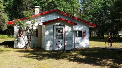 2174 S Hill Rd, Baldwin, MI 49304 - photo 5