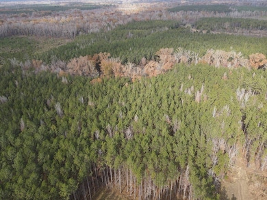 1526 Coal Bluff Rd, Lena, MS 39094 - photo 3