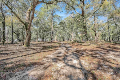 Beautiful Wooded Lot