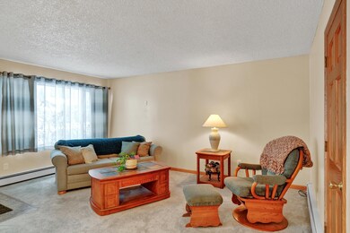 7541 Chad St, Anchorage, AK 99518 - photo 6