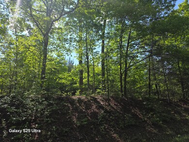 0 Millsap Rd unit 1511978, La Fayette, GA 30728 - photo 4