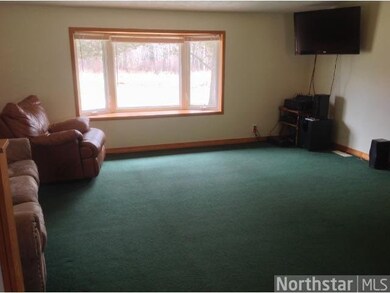 35887 Nighthawk Trail, Cushing, MN 56443 - photo 5