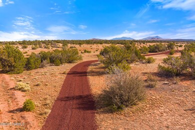 8449 Water Tank Cir unit C, Valle, AZ 86046 - photo 5
