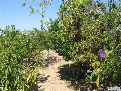 -A huge yard loaded with fruit bearing trees!