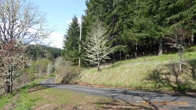 7535 Sawtell Rd, Sheridan, OR 97378 - photo 4