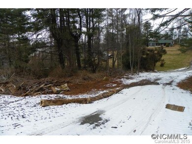 30 Edgewood Road Extension, Asheville, NC 28803 - photo 6