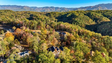 333 Elia Way, Sevierville, TN 37876 - photo 6