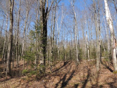 ON S Shore Ln unit 5.37 Ac., Deerbrook, WI 54424 - photo 6