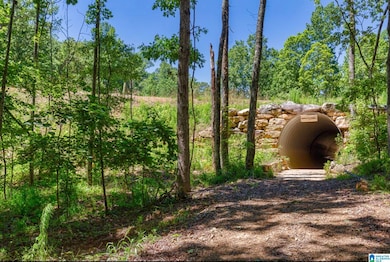 3095 Oakridge Way unit 61, Chelsea, AL 35043 - photo 6