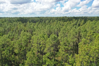 0 Bat Rd unit 16494875, Perry, FL 32347 - photo 2